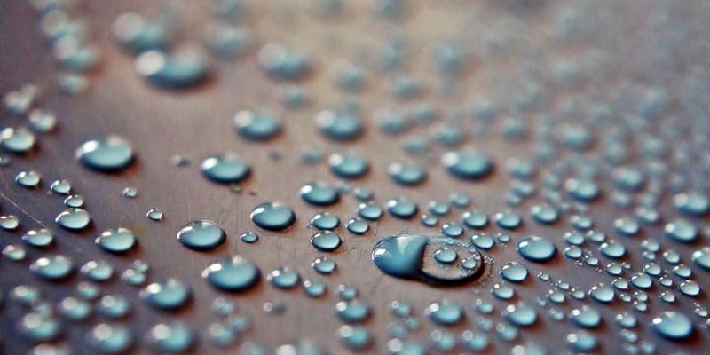 上海教练15：解锁教练认证与领导力培训的黄金法则