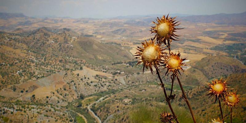 上海教练评测:如何选择真正提升领导力与企业效能的教练培训?